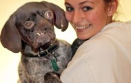 Ugliest dog in Britain