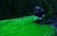 Why the river turned green?