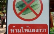 Signs Completely Devoid of Common Sense
