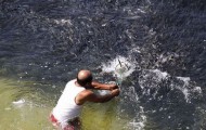 Strange things around the world!