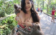 Wicked monkey