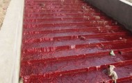 Blood river