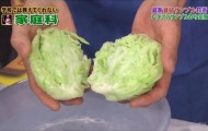 Amazing Chinese cabbage