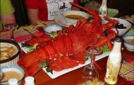 Largest freshwater crayfish in the world