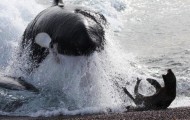 The 10 Scariest Sea Monsters