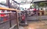 49-foot python captured in Indonesia, biggest snake!