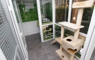Luxury cat hotel