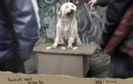 The best examples of public service announcements