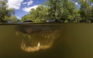Amazing pictures of underwater creatures