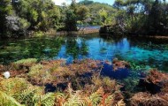 Places with the purest water, which very much want to swim