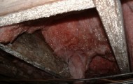 10 dirty and grimy jobs in the world