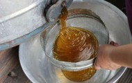 Where does honey come from?