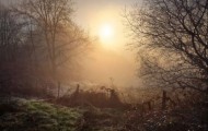 The works of photographer Maxime Courty
