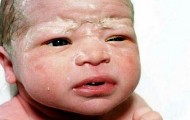 Portraits of newborn babies