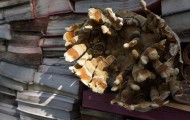 Return books in nature