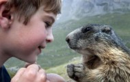 Friendship boy and marmots