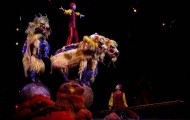 Cirque du Soleil show «Dralion»: backstage at Sunrise