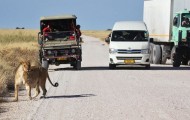 The case of the African National Park