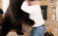 Bear in the house
