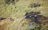Photos from the bird’s eye view