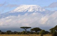 Curious Pictures of Kenya