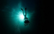 Fascinating silhouettes