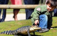 The unusual two-year boy friends