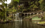 Tropical garden on the mountain Monte