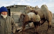 Aral Sea