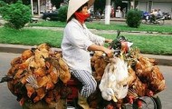 Awesome commodity transport