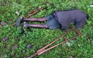 The war in Congo