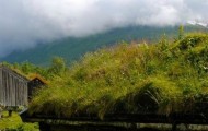 Grass Roofs in Norway