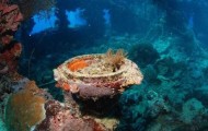 Underwater World