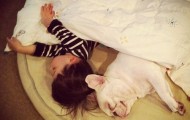 A little boy and his dog