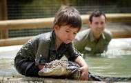 The crocodile tamer amazing child