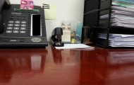Office with Grumpy Cat
