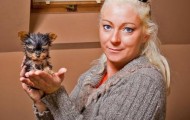 Polka Terrier, is the world’s smallest dog