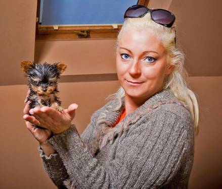 world's_smallest_dog_04