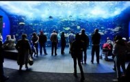 The largest aquarium in the world
