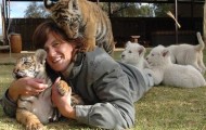 Woman lives with 11 cats at home