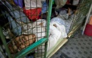Man lives in metal cage in Hong Kong