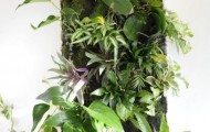 Panels made of plants