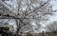 Spring Time