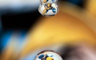The whole world in a drop of water
