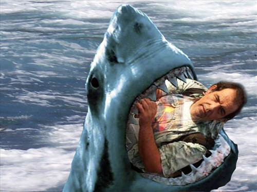 Pictures of Men vs Shark