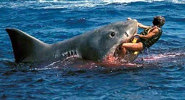 Man vs Shark_04