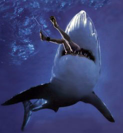 Man vs Shark_05