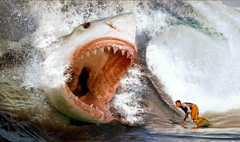 Man vs Shark_14
