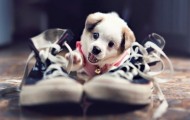 Emotional pictures #2