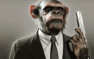 The funniest primates network